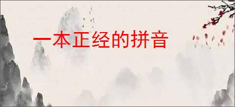 一本正经的拼音