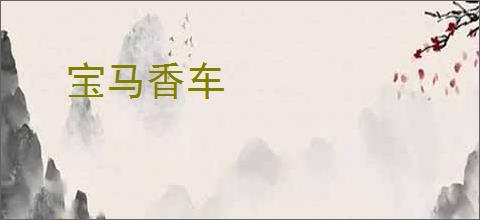 宝马香车