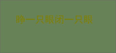 睁一只眼闭一只眼